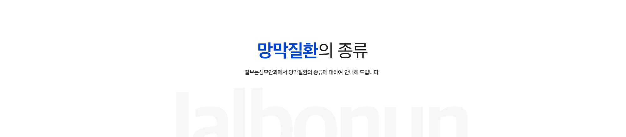망막질환의 종류